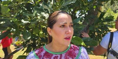 Abandonadas necesidades de pueblos indígenas en últimos 5 años: Ingram