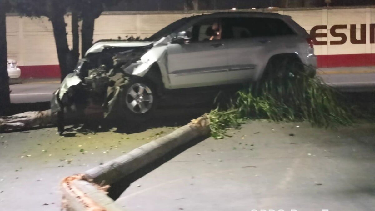 Camioneta Se Estrella Contra Arbol En Bulevar Cordoba Fortin