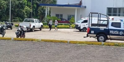 Atiende Proteccion Civil Llamado De Auxilio Por Presencia De Abejas En Complejo Deportivo