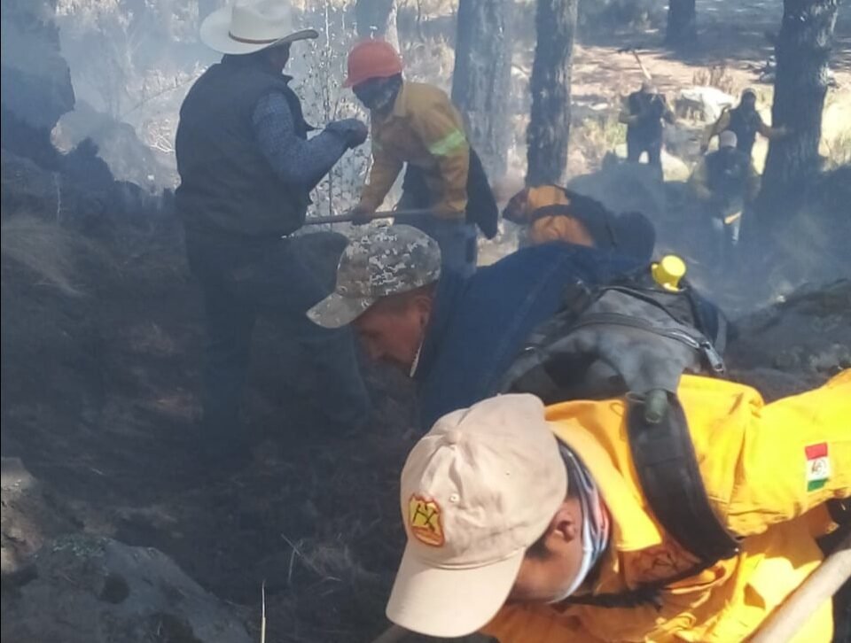 Casi 20 Hectareas Afectadas Por Incendio En Pico De Orizaba 6