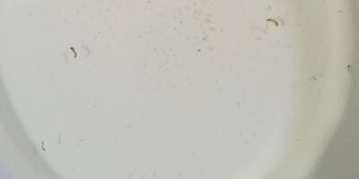Agua contaminada