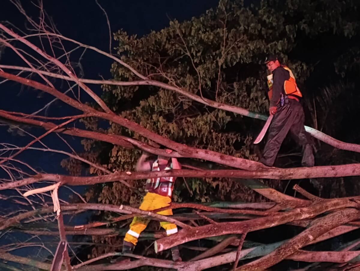 Tormenta deja severas afectaciones en las Altas Montañas