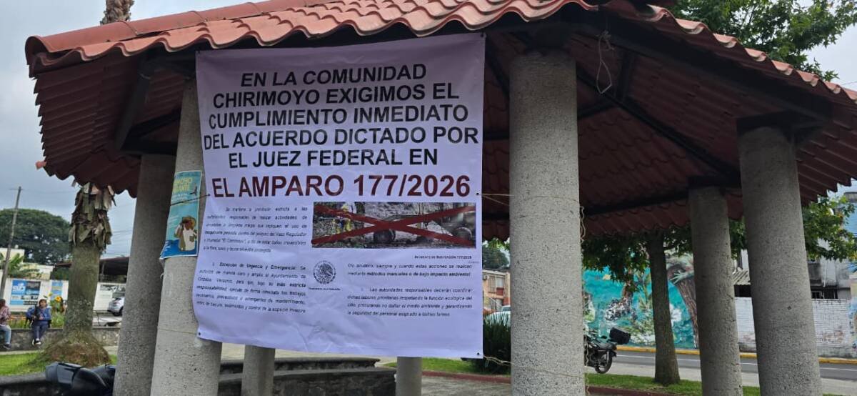 Comunidad del Chirimoyo pide limpieza manual y ofrece colaborar con Ayuntamiento