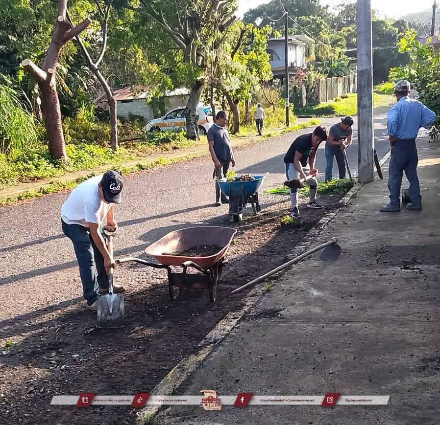 Comunidades, un mismo compromiso: el Ayuntamiento de Córdoba fortalece el trabajo comunitario