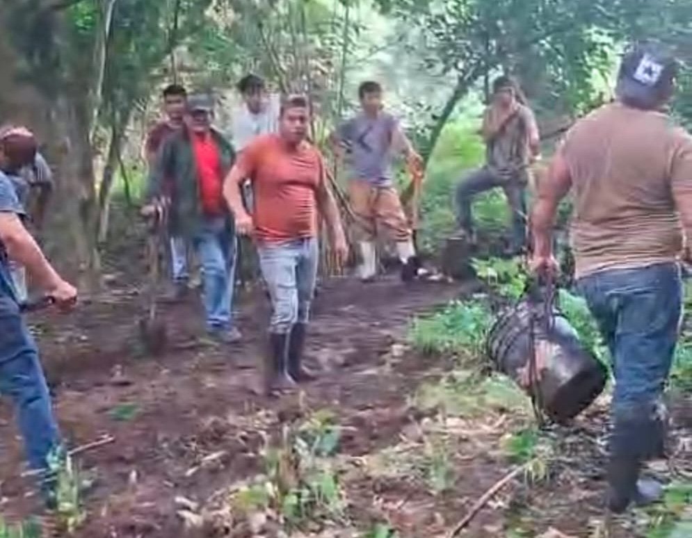Vecinos de Chicontepec infectados en cisterna con murciélagos