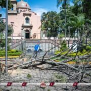 Áreas Verdes da mantenimiento y retiro de árboles secos en parques de Córdoba