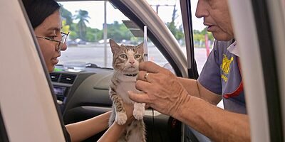 Fortalece Ayuntamiento de Veracruz la salud y protección de animales de compañía en Jornada Nacional de Vacunación 2026