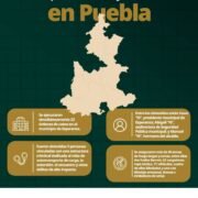 Operación Enjambre: presos 2 alcaldes de Puebla y líder de Los Zúñiga