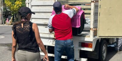Rescata Ayuntamiento de Veracruz a perrita en situación de riesgo en Colinas de Santa Fe