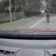 Asaltantes acechan en carretera Fortín-Conejos, alertan