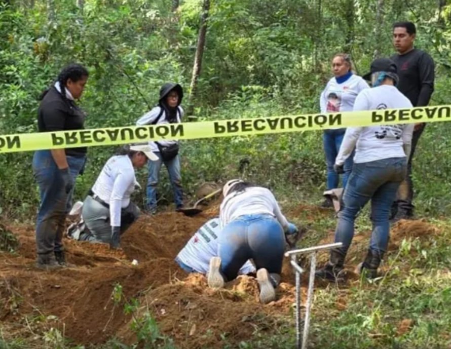 Hallan 1,600 dientes de leche en fosa de Zacapu, Michoacán