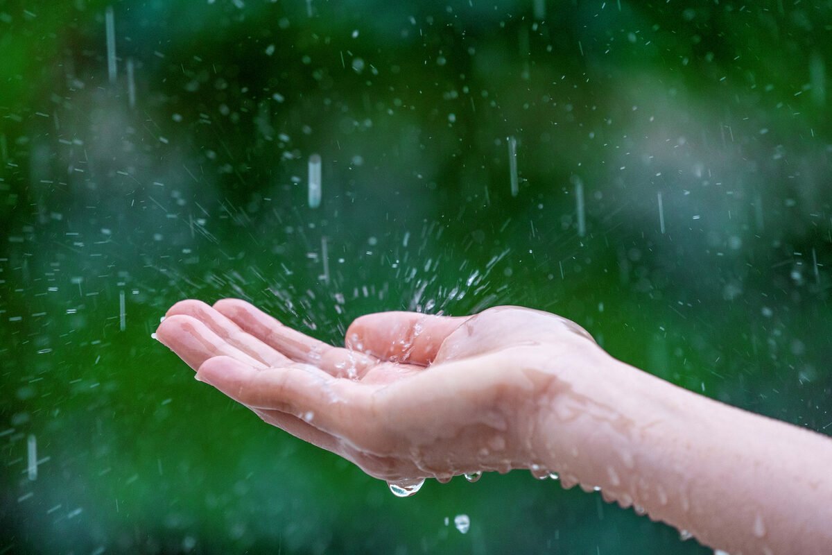 olor-a-lluvia-petricor