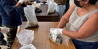 Se promueve en Ixhuatlán del Café la independencia alimentaria