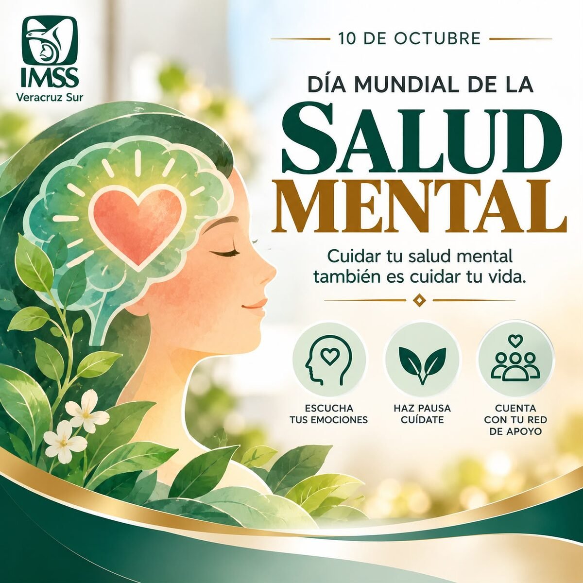 Promueve IMSS Veracruz Sur cuidado de la Salud Mental