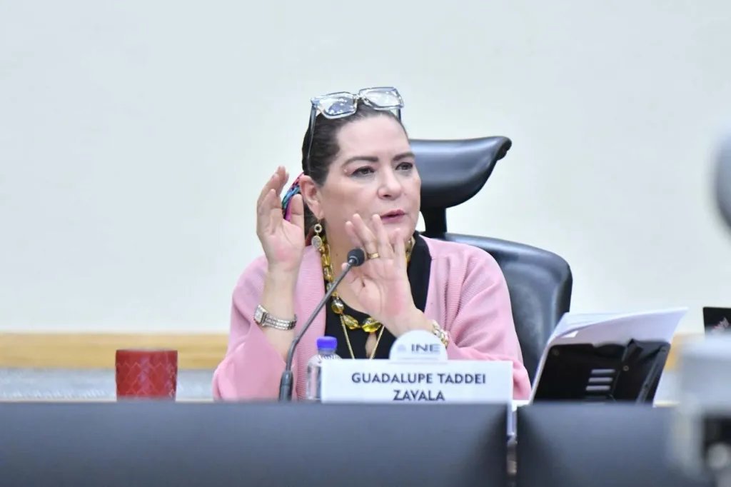 Guadalupe Taddei renuncia a la presidencia del INE