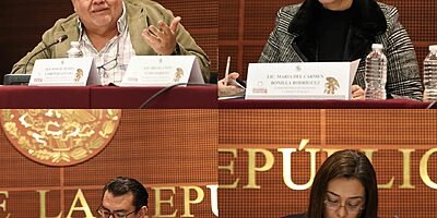 Finanzas públicas responsables, combate a la evasión y bienestar, prioridades para 2027: Manuel Huerta