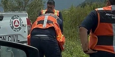 Denuncian maltrato animal en Maltrata; señalan a PC