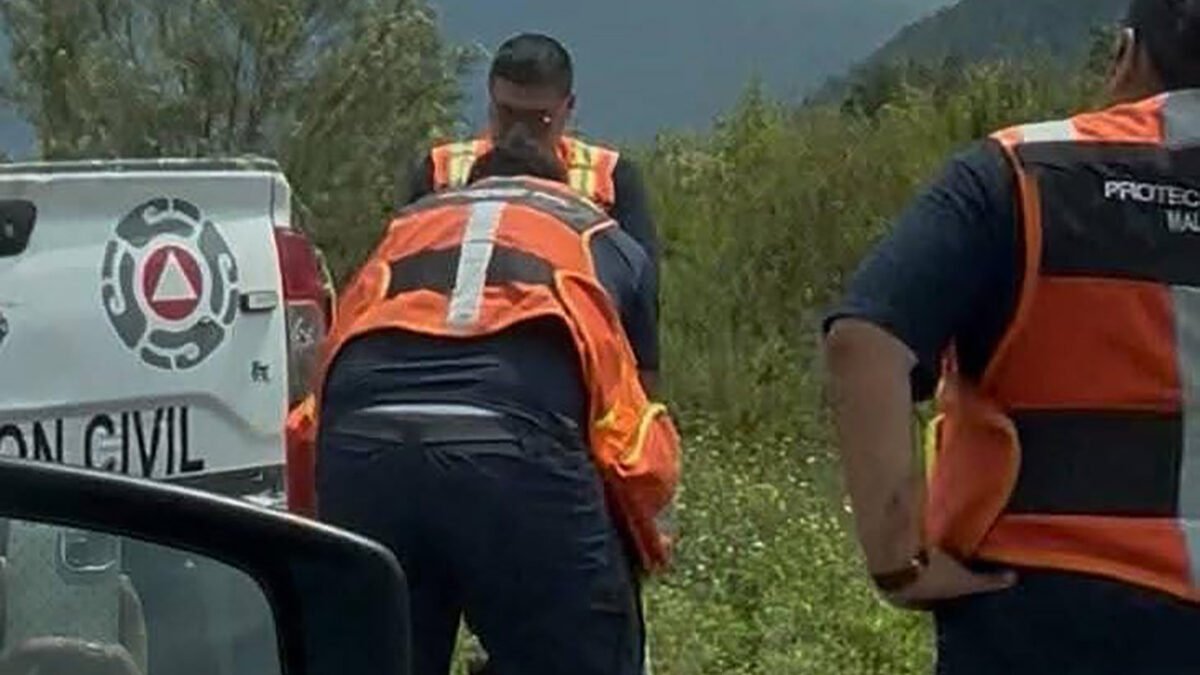 Denuncian maltrato animal en Maltrata; señalan a PC